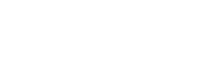 Critical Software